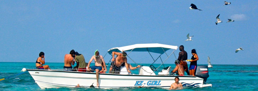 Activities Caye Caulker - Manatees