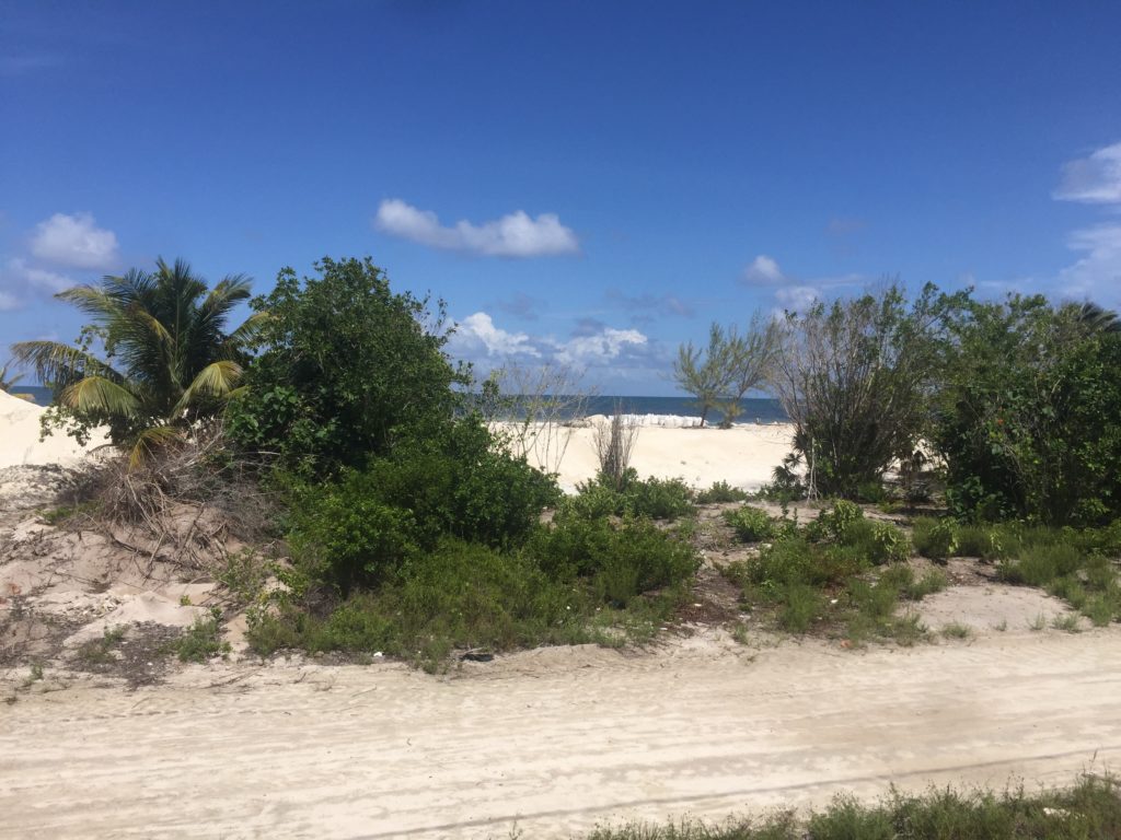 Land For Sale on Caye Caulker North Island Sea Dreams Hotel Sea Dreams Hotel